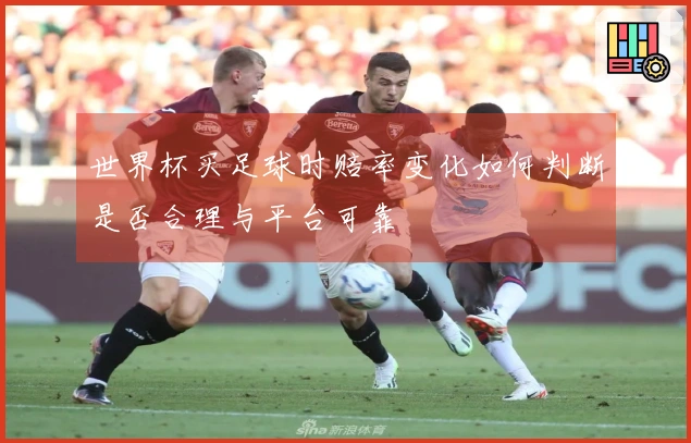 世界杯买足球时赔率变化如何判断是否合理与平台可靠