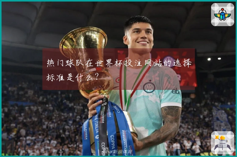 热门球队在世界杯投注网站的选择标准是什么？