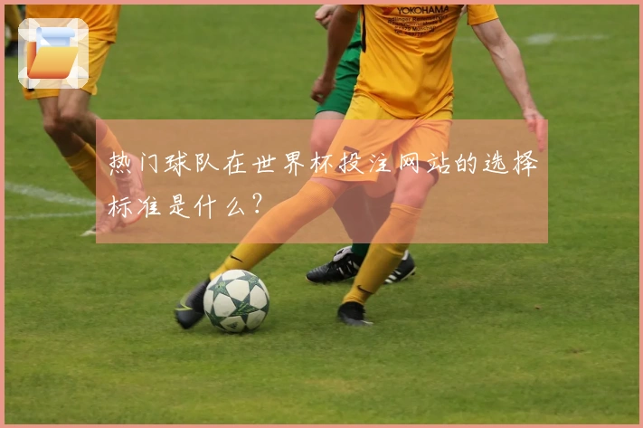 热门球队在世界杯投注网站的选择标准是什么？