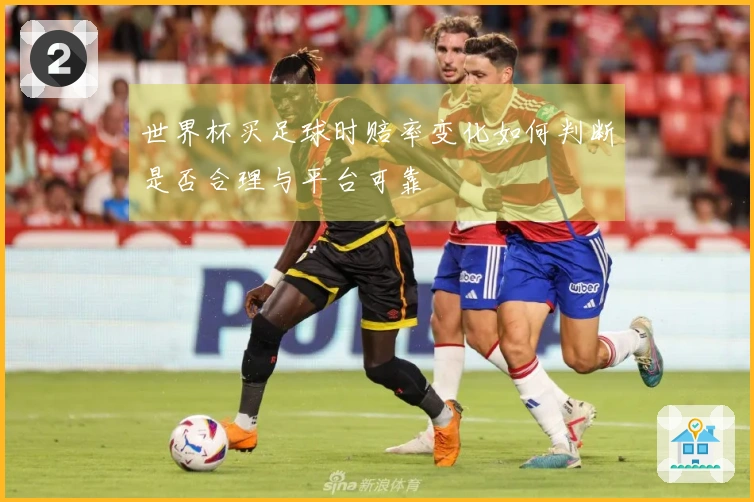 世界杯买足球时赔率变化如何判断是否合理与平台可靠
